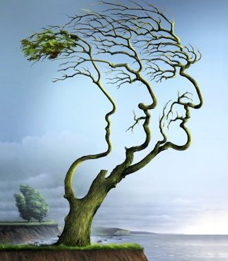 A busca pela fonte da juventude (das plantas) (V.3, N.12, 2017)